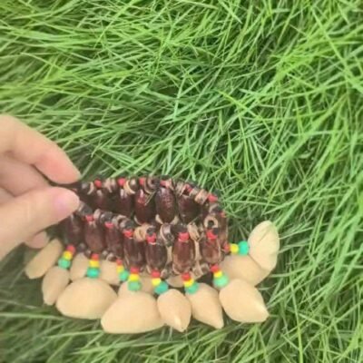 1pc Natural Fruit Shell Handbell – African Drum Strike Wrist Bell with Beaded Strap, Mixed Colors, Solid Shell Construction for Halloween, Thanksgiving, Christmas Decorations & Music Accompaniment, Handbell For Music, Festive Accessory