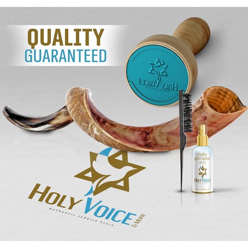 Kosher Kudu Shofar Horn from u2013 Traditional Half - Polished Yemenite Shofar Includes Carrying Bag, Brush and Blowing Guide - Easy Blowing Ancient Musical Instrument 2428, Spiritual Instrument, Religious Ceremony, Handcrafted Design, Artisan Made, Durable Construction, Rituals And Ceremonies - Image 3