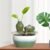 [1pc Indoor Waterfall Fountain] 1pc Indoor Waterfall Fountain | Soothing Water Flow & Pump, Modern Zen Garden Fountain for Home/Office Decor, Desktop/Tabletop Water Feature, Low-Voltage Safe Operation (No Outlet), Green/Grey Natural Sound