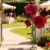 6.3ft Large Artificial Roses Flowers Decorations – Giant Fake Flower Decor with Stand, 3 Realistic Big Simulation Flowers for Wedding Arch Backdrop, Garden, Courtyard, Home, Living Room, Birthday Party, Graduation, Shop Window Display Decorations