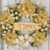 36pcs Shiny Golden Faux Christmas Poinsettia – (12 Flowers + 12 Clips + 12 Stems = 36), No Electricity Required, Perfect for Christmas Tree Decorations, Garland Embellishment, Wedding & New Year Holiday Celebrations, Seasonal Home Decor